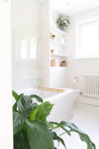 Bathroom cleaning
