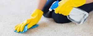 Get Paint Out of Carpet