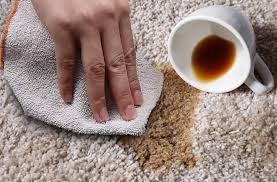 Get Tea Stains Off the Carpet
