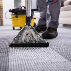 Carpet being cleaned with hot water extraction